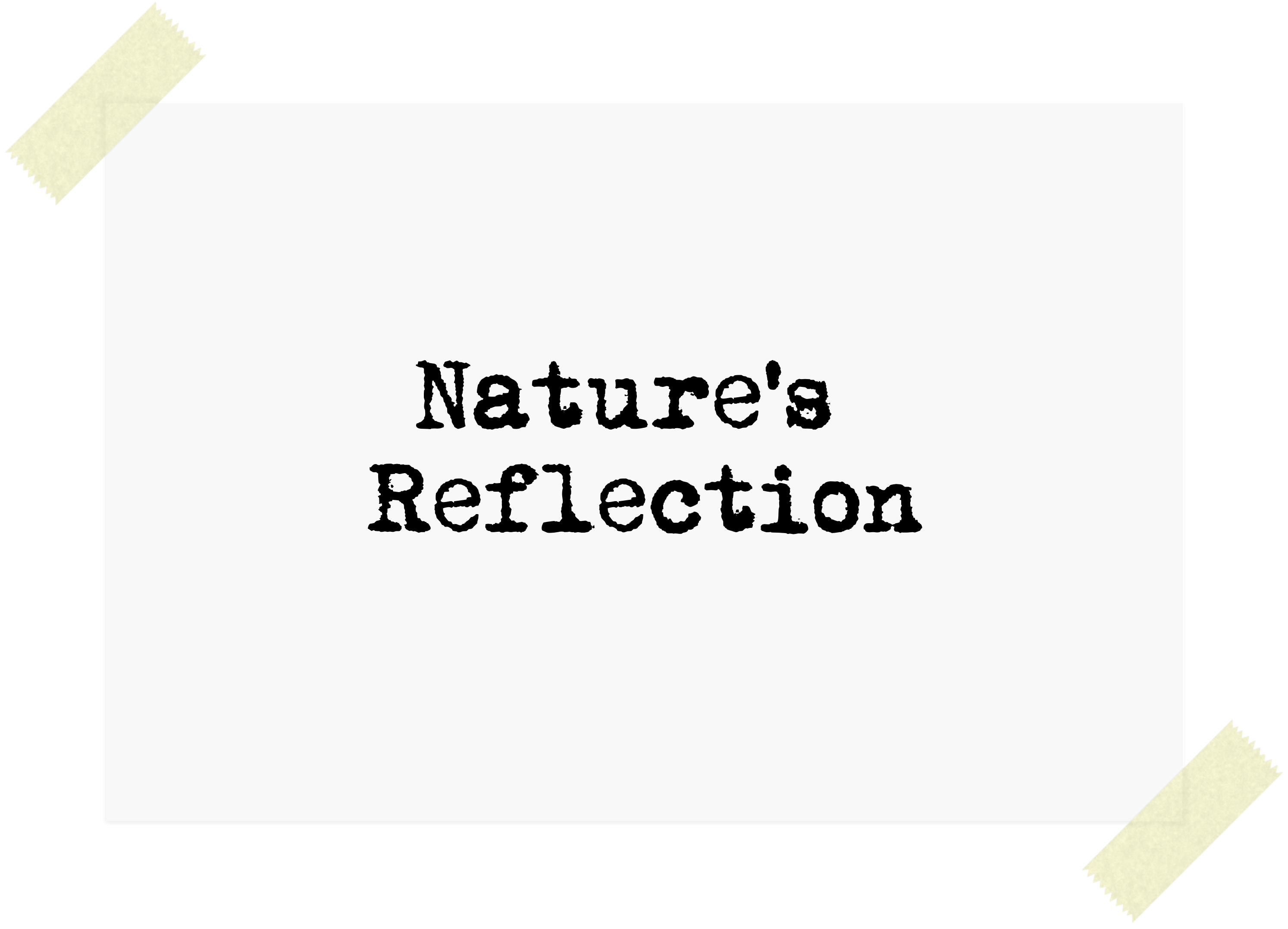 Nature’s Reflection - back